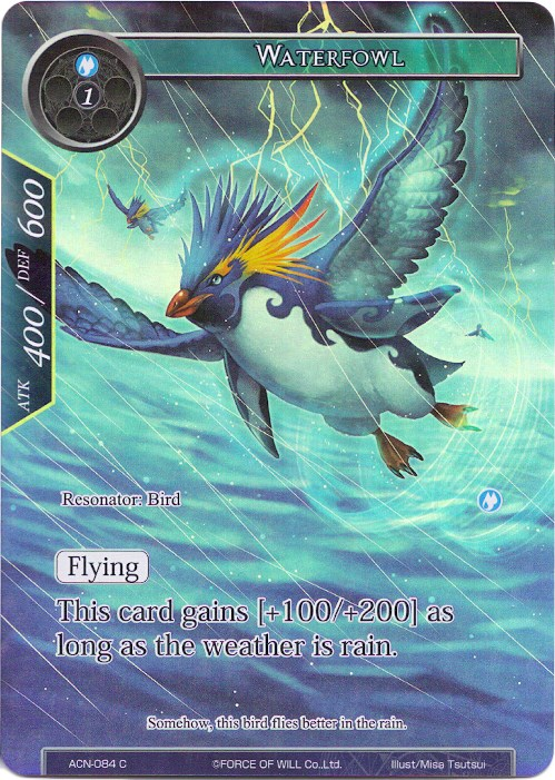 Waterfowl