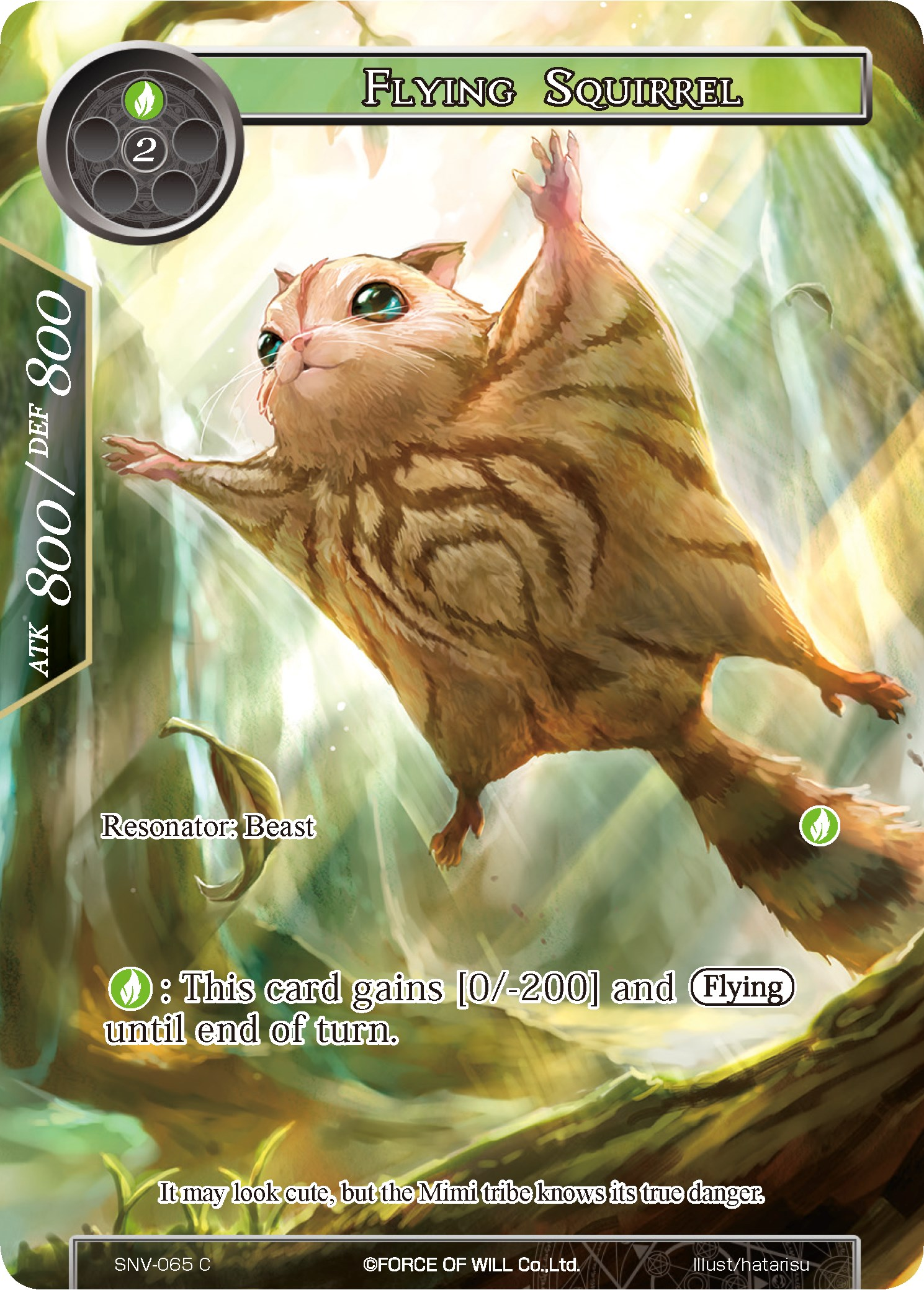 Flying Squirrel