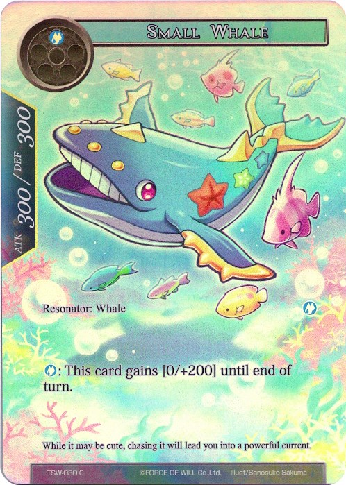 Small Whale